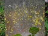 image of grave number 842445